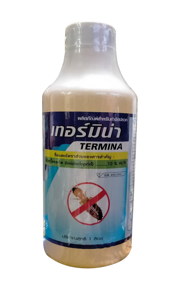 เทอร์มิน่า Termina